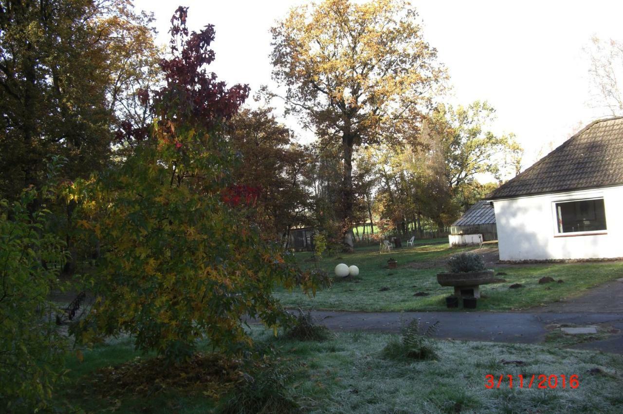 Ferienhaus Huus Ton Witten Barg Undeloh Esterno foto